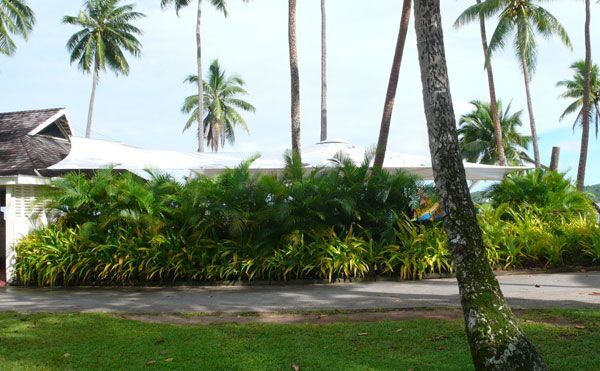  Shangri-La's Fijian Resort | Baytex - 2