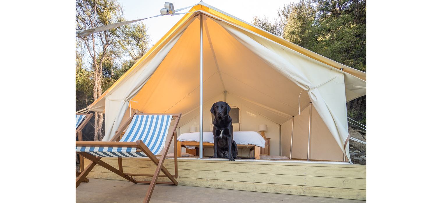  Glamping Canopy Sleeper | Baytex - 2